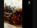 キーマカレーにとろける塩昆布あってもなくてもあまり変わらず雨天続きで太陽ほしい キーマカレー違った今晴れ
