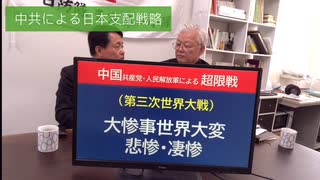 自然共生党サブチャンネル 第６弾 中共による日本支配戦略