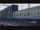 【インド】試験走行を行うトリプルスタック貨物列車