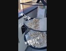 アサノヒトコト　朝の一言