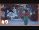 私がこの兄弟の未来をきめる『Life is Strange2』 #9【女性実況】