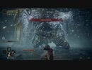 【ELDEN RING実況】 vsノクステラの竜人兵 part20