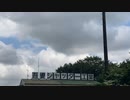 どっち？