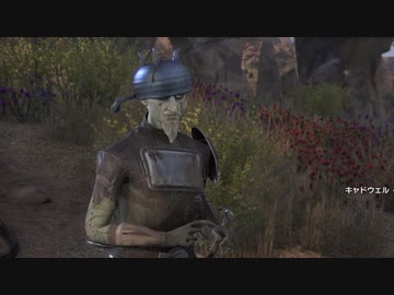 Elder Scrolls Online＃23
