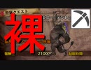 【MHW:IB】裸で歴戦激昂ラージャン（ピッケル）