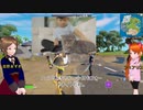 シーズン３楽しんでる？「フェアリスのほのぼのふぉーとないと」エンジョイ【フォートナイト】と【猫画像】