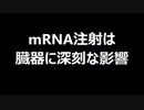 mRNA注射は臓器に深刻な影響
