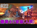 脇出しヘソ出し生足魅惑の褐色スカベンジャー#22【百英雄伝 Rising】