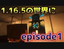 1.16.5の世界にウォーデン！？ 【白黒クラフト/黄昏 100days編】