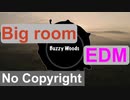 [フリーBGM] EDM，ビッグルーム，楽しい，激しい｜Buzzy Woods {Prod. by tcyk}
