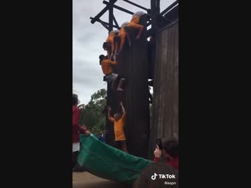 ホモと学ぶ　5メートルの壁を6人全員が登る方法