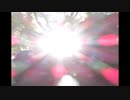 【青二才】what a wonderful world【戯言】