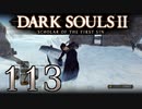 【DARK SOULS2 SCHOLAR OF THE FIRST SIN】1をプレイしてからのダークソウル2 part113【初見実況】