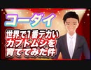 コーダイ 世界で1番デカいカブトムシを育ててみた件について #TTVR 第61回放送 5分で得意話をするエンタメ型プレゼン企画 2022年6月12日 #cluster にて開催