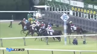 ホモと見るゲートを出たのに走ってくれない馬