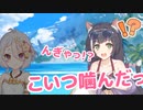 あぁ、口いっぱいに広がるキャルちゃんの味…じゅるり♪