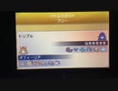 ORASトリプルバトル 対ズバドドドブルブル亀
