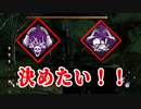 ハントレス1000時間使ったら化け物ができる　PART41