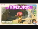 ゼルダの伝説 ブレス オブ ザ ワイルド  完全初見実況プレイ #2