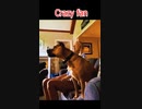 Crazy fan
