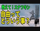 スナフキンに学ぶ　『本当の自由』