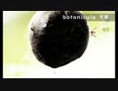 【ゲーム実況】botanicula 9本目