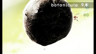 【ゲーム実況】botanicula 9本目