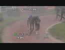ＤＳ２０２２ ＪＢＣ協会協賛 黒潮ダービー 第50回高知優駿（ダノンキングリー賞）［地方全国交流］ パドック～本馬場入場