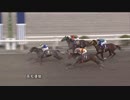 ＤＳ２０２２ ＪＢＣ協会協賛 黒潮ダービー 第50回高知優駿（ダノンキングリー賞）［地方全国交流］ ガルボマンボ