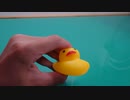 アヒルを1プッシュするだけの動画