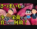 【ゆっくり解説】さつまいもは痩せた土地でもバリバリ育つ…が、それってどうして？