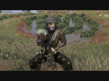 Elder Scrolls Online＃29