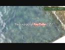 サビキで外道大漁！