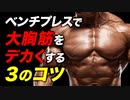 【筋トレ】ベンチプレスで大胸筋をデカくする3つのコツ【ビーレジェンド プロテイン】