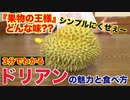 果物の王様「ドリアン」ってなんで王様なの？？