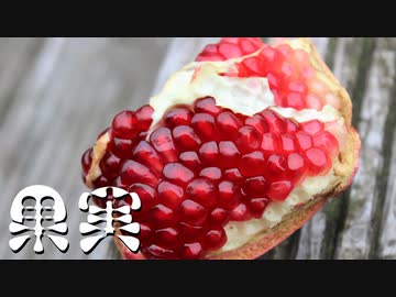 【創作】怪奇掌編を淡々と読む『果実』【結月ゆかり】