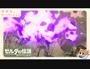 ゼルダの伝説 ブレス オブ ザ ワイルド  完全初見実況プレイ #3