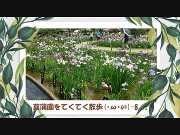 菖蒲園をﾃｸﾃｸ(･ω･o*)-8｡｡｡