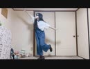 惑星ループ踊ってみた【れいん】