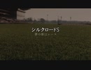 【ウマ娘】シルクロードS【夢の第11レース賞】
