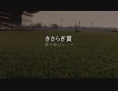 【ウマ娘】きさらぎ賞【夢の第11レース賞】