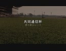 【ウマ娘】共同通信杯【夢の第11レース賞】