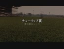 【ウマ娘】チューリップ賞【夢の第11レース賞】