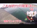 これが釣りの現実ばい7（漁港ポッパー狙い）【VOICEROIDフィッシング】