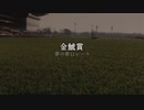 【ウマ娘】金鯱賞【夢の第11レース賞】