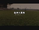 【ウマ娘】阪神大賞典【夢の第11レース賞】