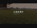 【ウマ娘】京都新聞杯【夢の第11レース賞】