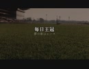 【ウマ娘】毎日王冠【夢の第11レース賞】