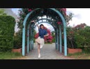 【ひかり.】So much loving you★ -DIVA Edit- 踊ってみた