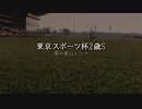 【ウマ娘】東京スポーツ杯2歳S【夢の第11レース賞】